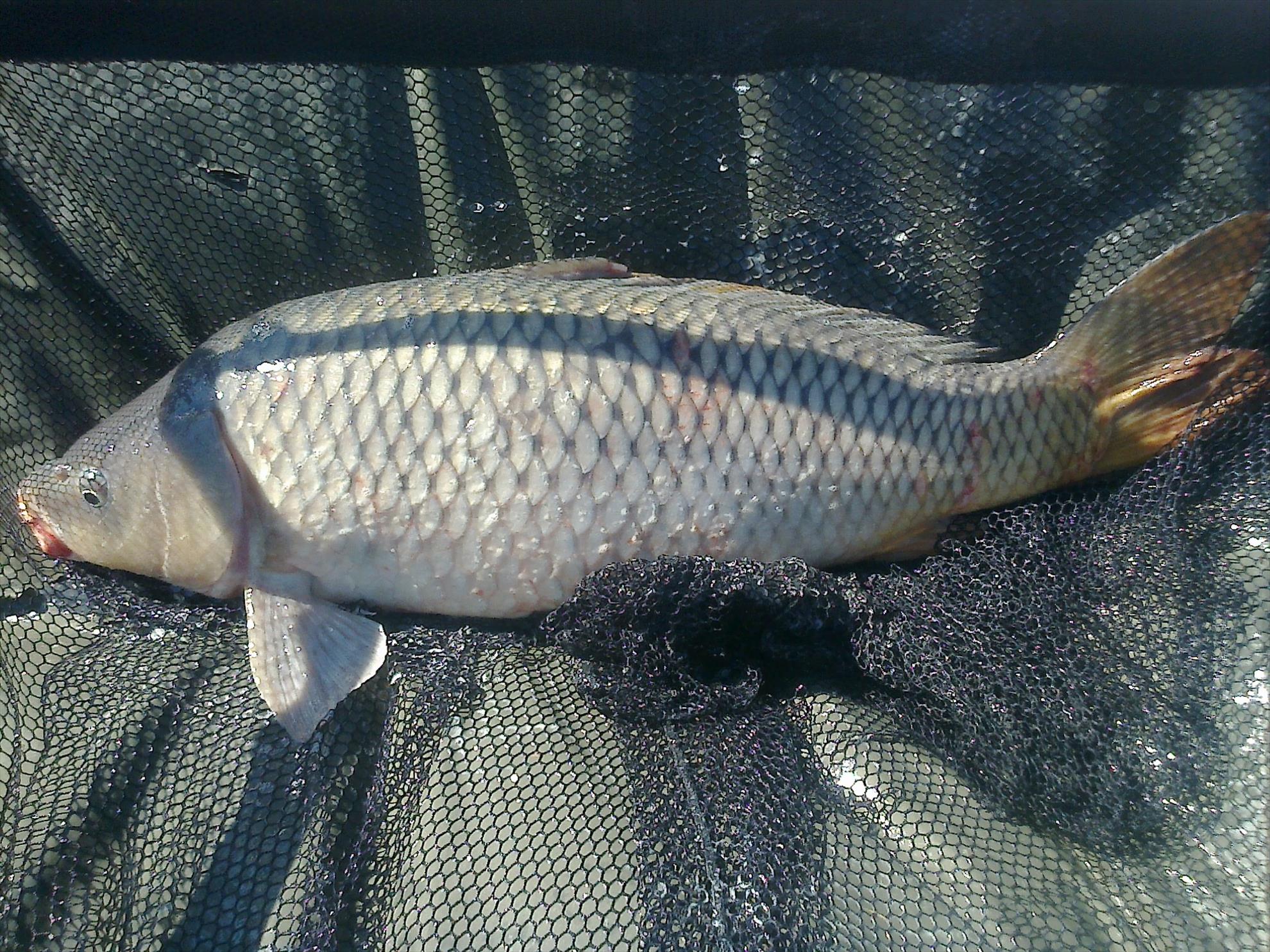 MV 2 - 25.SEPT.2014 - fotografie0020.jpg